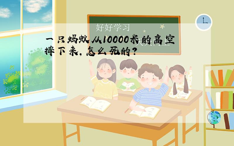 一只蚂蚁从10000米的高空摔下来,怎么死的?