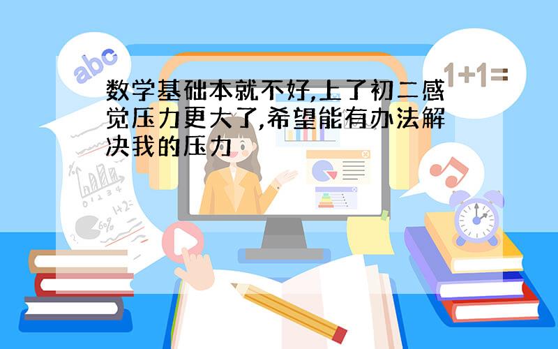 数学基础本就不好,上了初二感觉压力更大了,希望能有办法解决我的压力