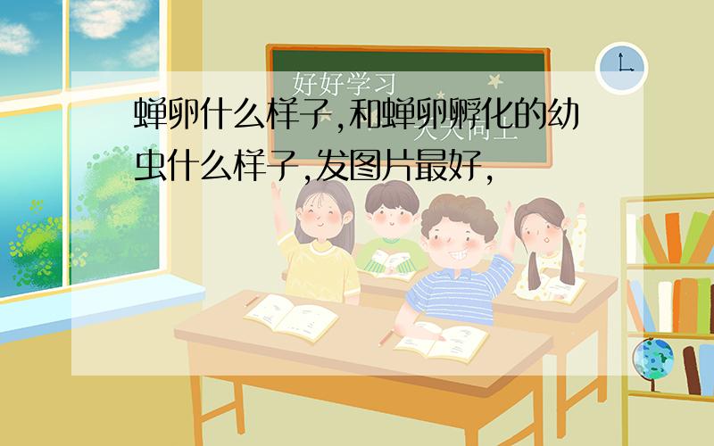 蝉卵什么样子,和蝉卵孵化的幼虫什么样子,发图片最好,