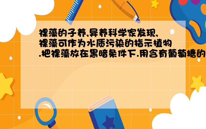 裸藻的子养,异养科学家发现,裸藻可作为水质污染的指示植物.把裸藻放在黑暗条件下.用含有葡萄糖的培养液进行培养,成功地繁殖