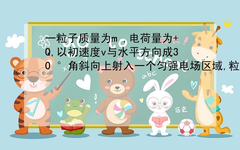 一粒子质量为m ,电荷量为+Q,以初速度v与水平方向成30 °角斜向上射入一个匀强电场区域,粒子恰好作直线运动.求这个匀