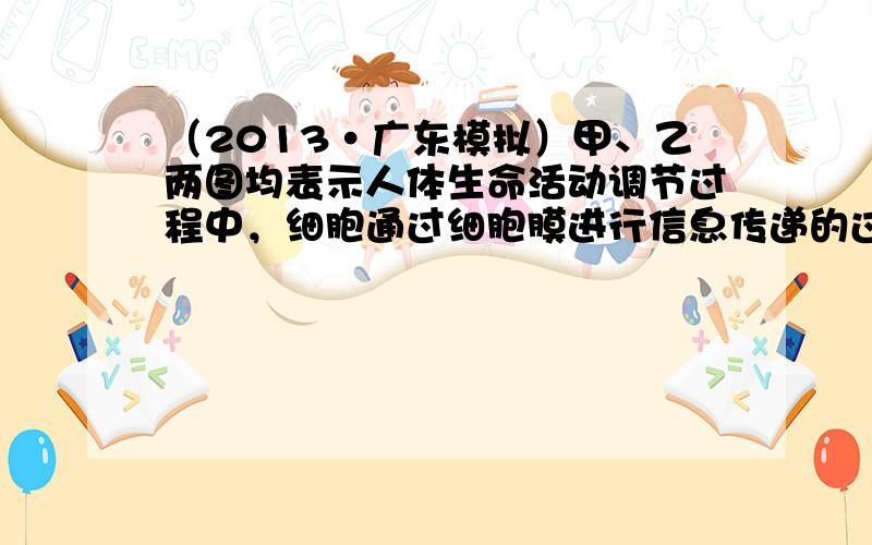 （2013•广东模拟）甲、乙两图均表示人体生命活动调节过程中，细胞通过细胞膜进行信息传递的过程，图中①、②、③、④为相关