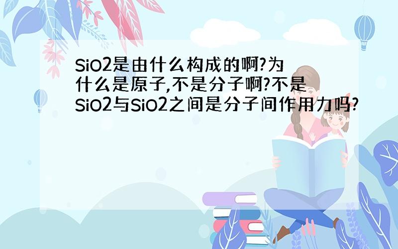 SiO2是由什么构成的啊?为什么是原子,不是分子啊?不是SiO2与SiO2之间是分子间作用力吗?