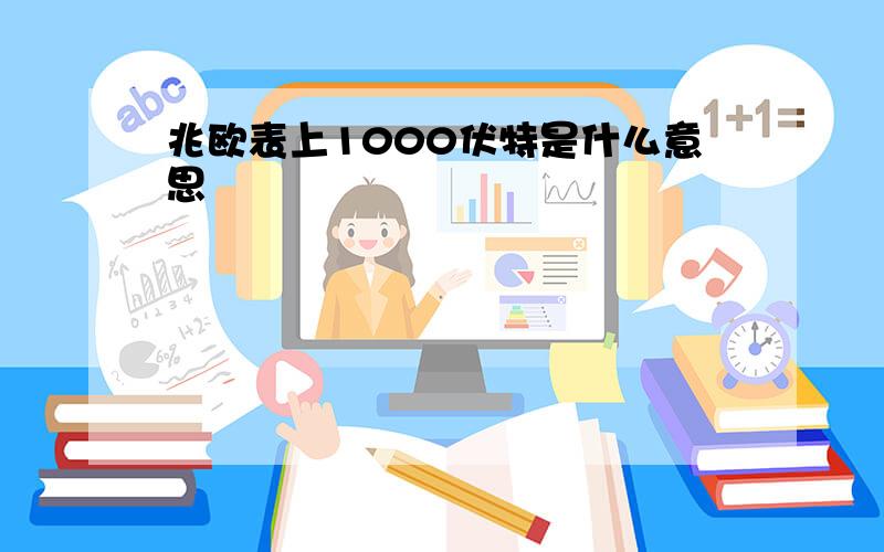 兆欧表上1000伏特是什么意思