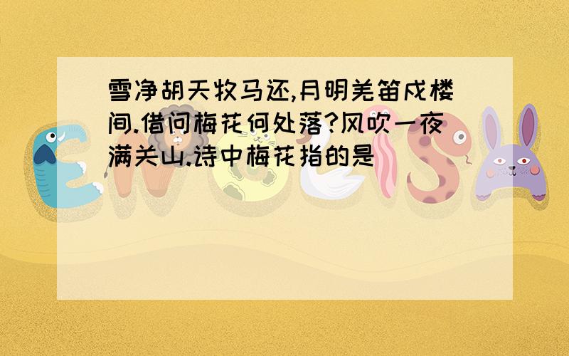 雪净胡天牧马还,月明羌笛戍楼间.借问梅花何处落?风吹一夜满关山.诗中梅花指的是