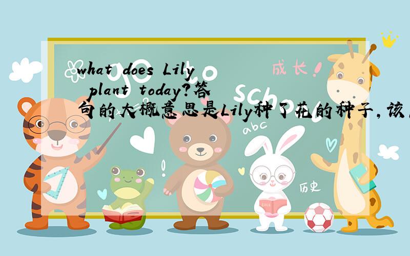 what does Lily plant today?答句的大概意思是Lily种了花的种子,该怎么答?