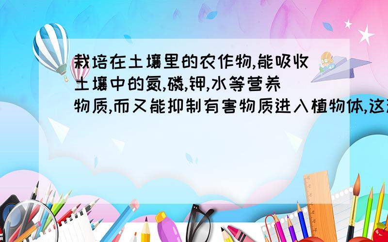 栽培在土壤里的农作物,能吸收土壤中的氮,磷,钾,水等营养物质,而又能抑制有害物质进入植物体,这种作