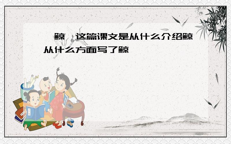 《鲸》这篇课文是从什么介绍鲸从什么方面写了鲸