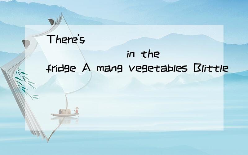 There's _____________in the fridge A mang vegetables Blittle