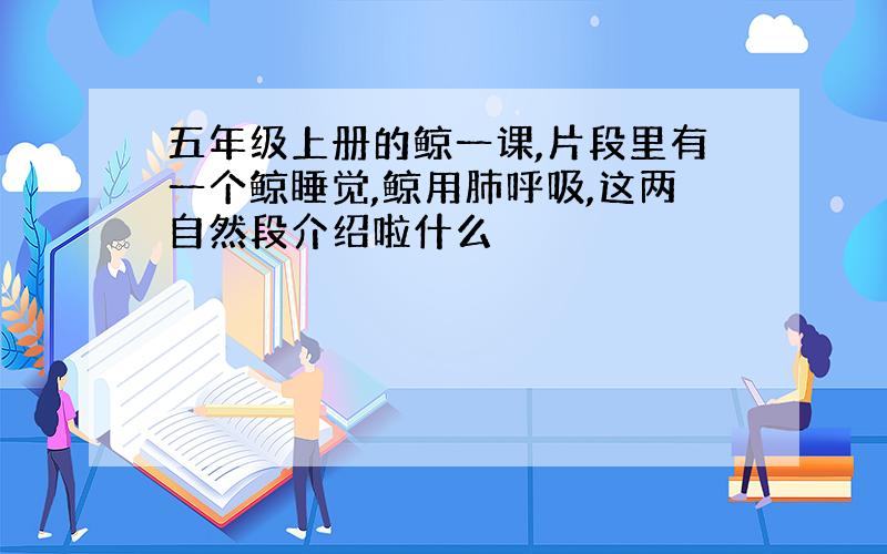 五年级上册的鲸一课,片段里有一个鲸睡觉,鲸用肺呼吸,这两自然段介绍啦什么