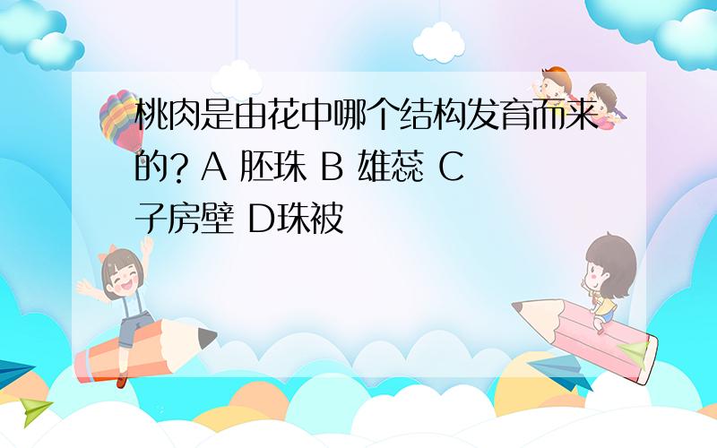 桃肉是由花中哪个结构发育而来的？A 胚珠 B 雄蕊 C 子房壁 D珠被