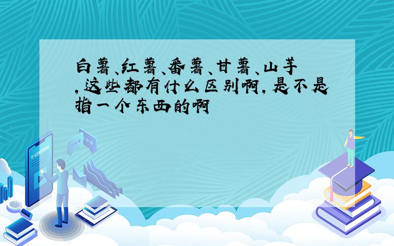 白薯、红薯、番薯、甘薯、山芋,这些都有什么区别啊,是不是指一个东西的啊