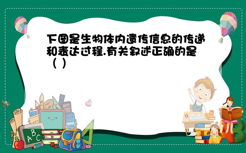 下图是生物体内遗传信息的传递和表达过程.有关叙述正确的是（ ）