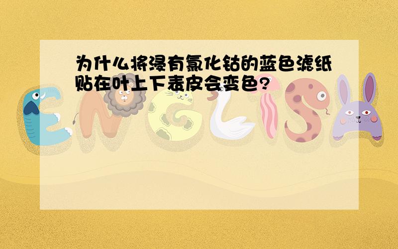 为什么将浸有氯化钴的蓝色滤纸贴在叶上下表皮会变色?