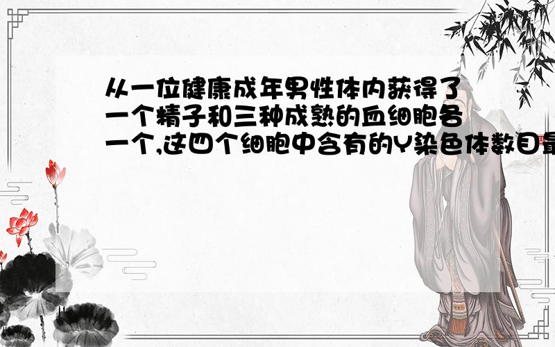 从一位健康成年男性体内获得了一个精子和三种成熟的血细胞各一个,这四个细胞中含有的Y染色体数目最少是