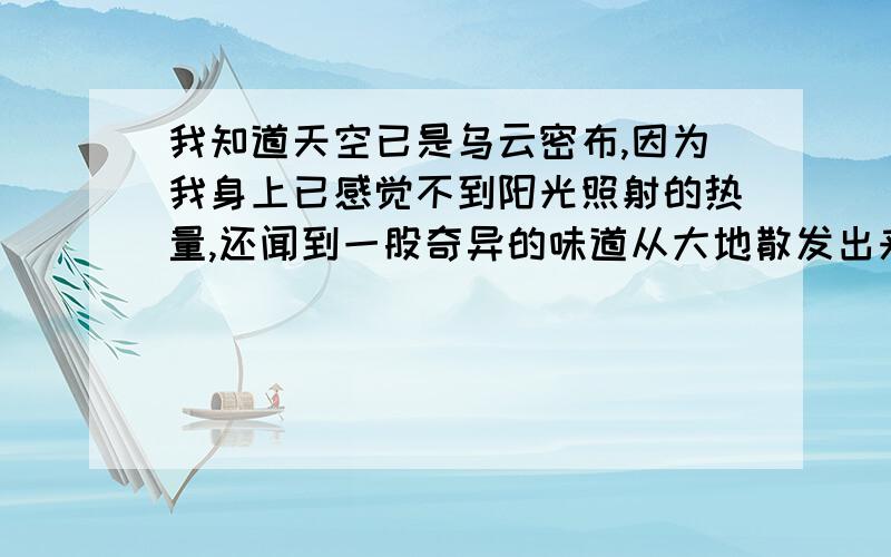 我知道天空已是乌云密布,因为我身上已感觉不到阳光照射的热量,还闻到一股奇异的味道从大地散发出来,我