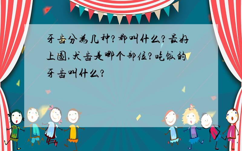 牙齿分为几种?都叫什么?最好上图,犬齿是哪个部位?吃饭的牙齿叫什么?