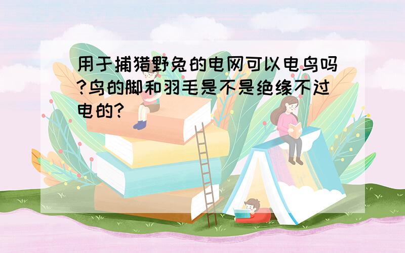 用于捕猎野兔的电网可以电鸟吗?鸟的脚和羽毛是不是绝缘不过电的?