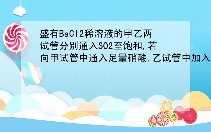 盛有BaCl2稀溶液的甲乙两试管分别通入SO2至饱和,若向甲试管中通入足量硝酸,乙试管中加入足量NaOH溶液,则下列叙述