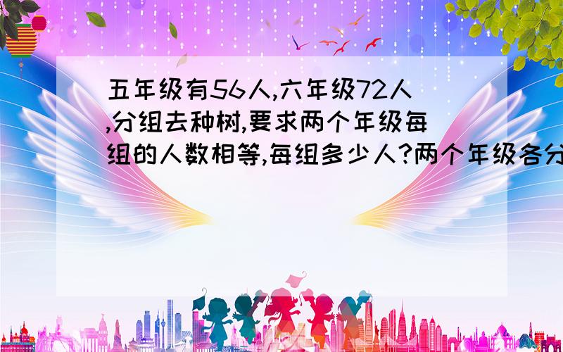 五年级有56人,六年级72人,分组去种树,要求两个年级每组的人数相等,每组多少人?两个年级各分成了几组