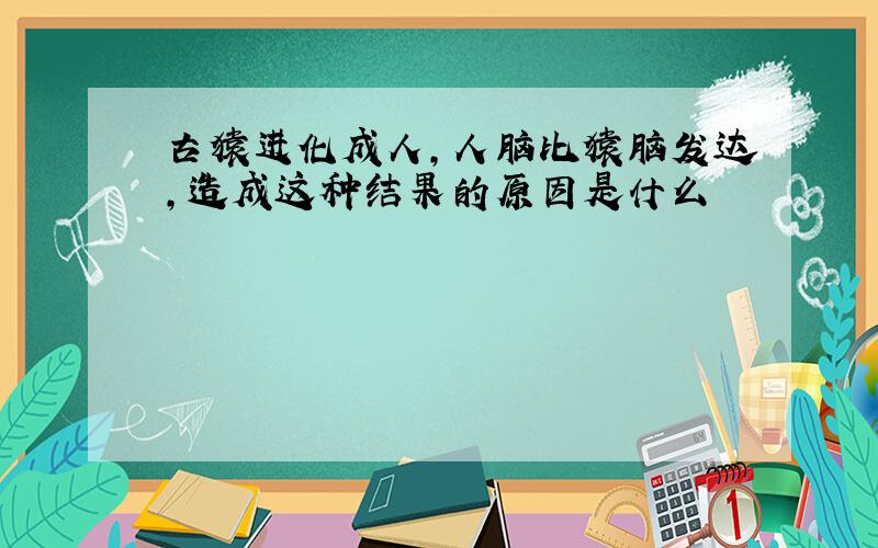 古猿进化成人,人脑比猿脑发达,造成这种结果的原因是什么