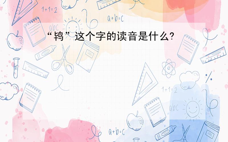 “鸨”这个字的读音是什么?