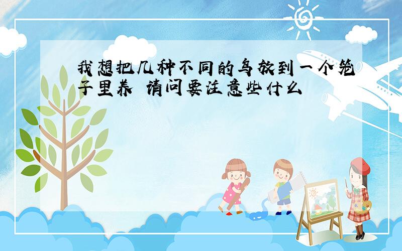 我想把几种不同的鸟放到一个笼子里养 请问要注意些什么