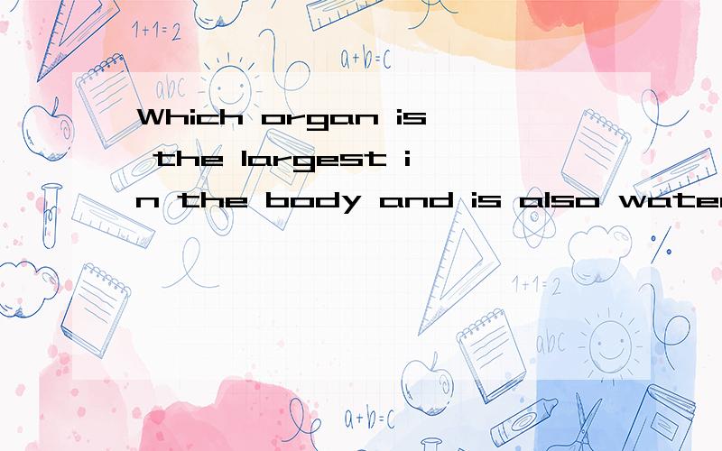 Which organ is the largest in the body and is also waterproo