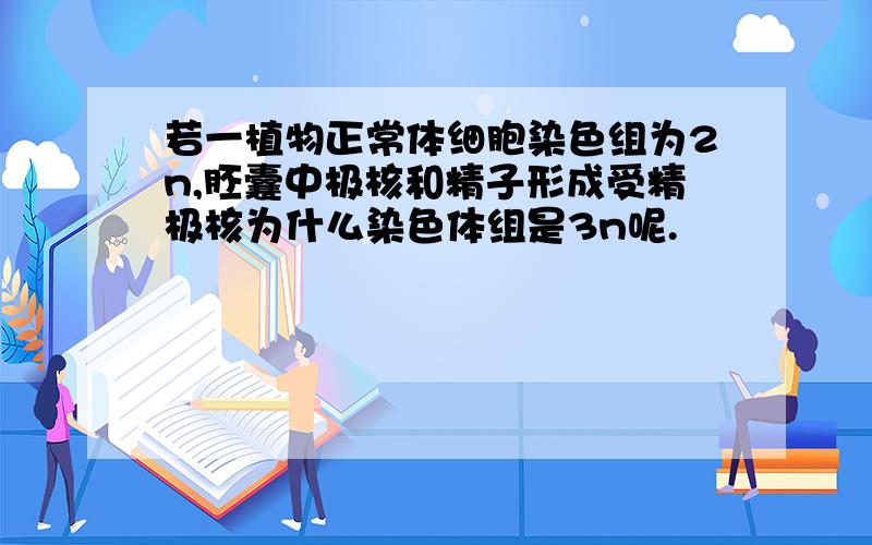 若一植物正常体细胞染色组为2n,胚囊中极核和精子形成受精极核为什么染色体组是3n呢.