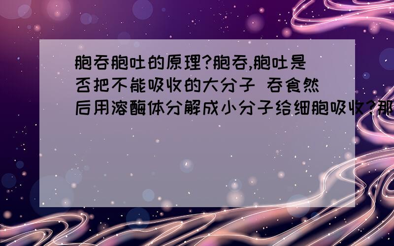 胞吞胞吐的原理?胞吞,胞吐是否把不能吸收的大分子 吞食然后用溶酶体分解成小分子给细胞吸收?那么胞吞,胞吐是怎样形成的?什