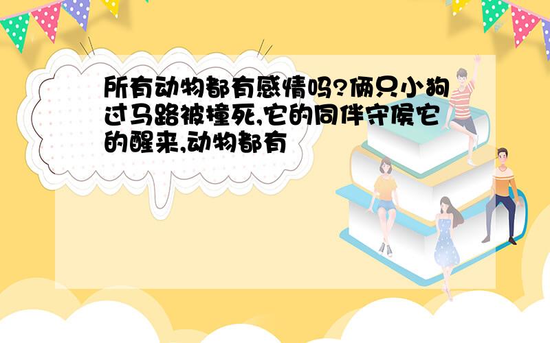 所有动物都有感情吗?俩只小狗过马路被撞死,它的同伴守侯它的醒来,动物都有