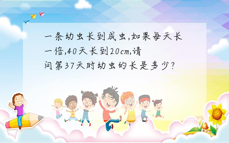 一条幼虫长到成虫,如果每天长一倍,40天长到20cm,请问第37天时幼虫的长是多少?