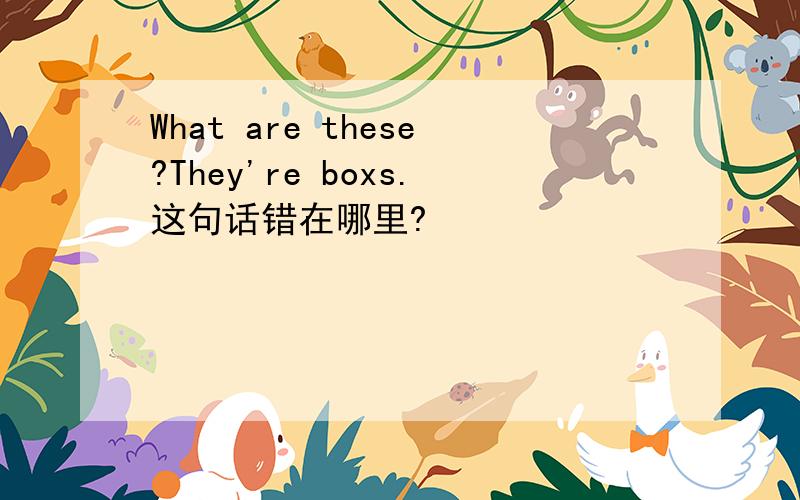 What are these?They're boxs.这句话错在哪里?