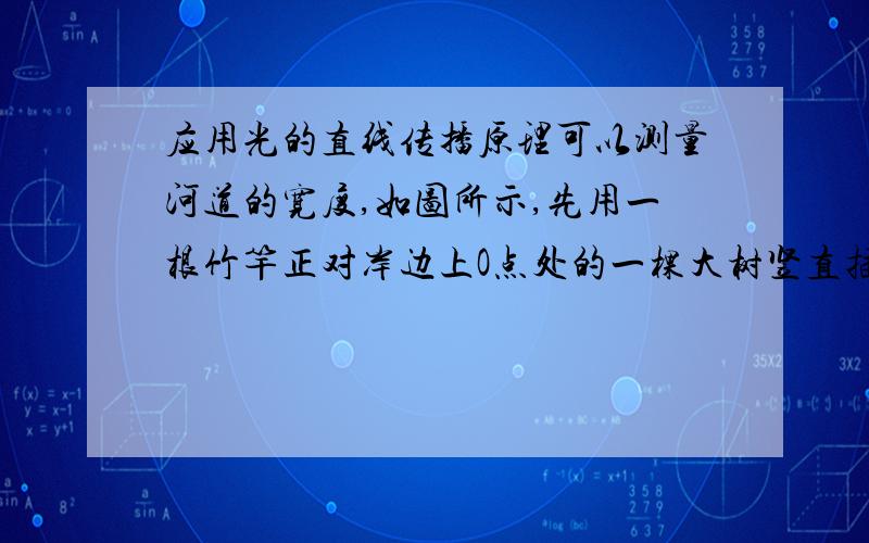 应用光的直线传播原理可以测量河道的宽度,如图所示,先用一根竹竿正对岸边上O点处的一棵大树竖直插在河边A点上,再用另一根竹