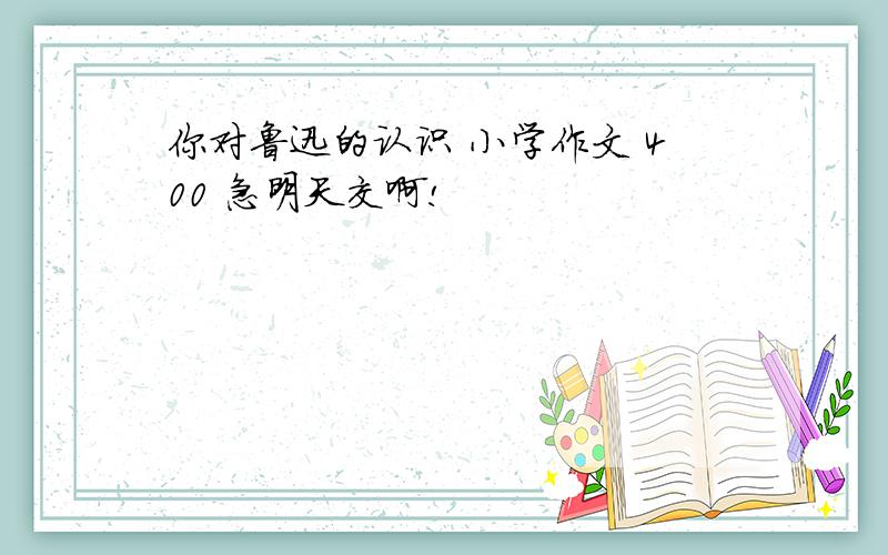 你对鲁迅的认识 小学作文 400 急明天交啊!