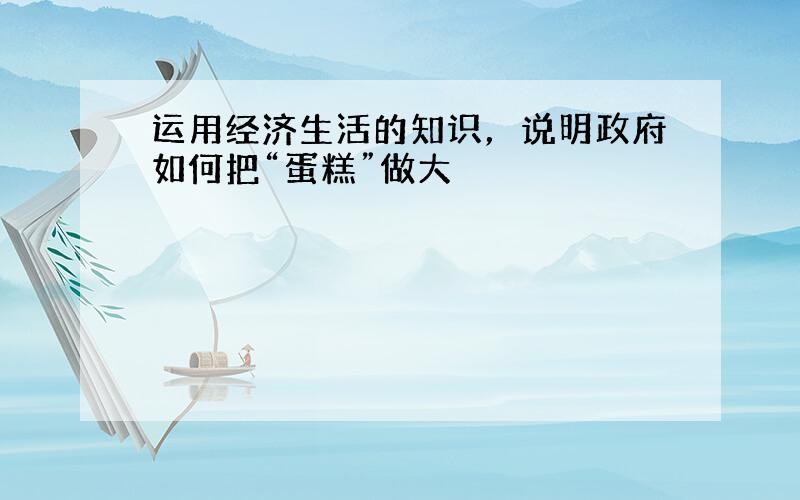 运用经济生活的知识，说明政府如何把“蛋糕”做大