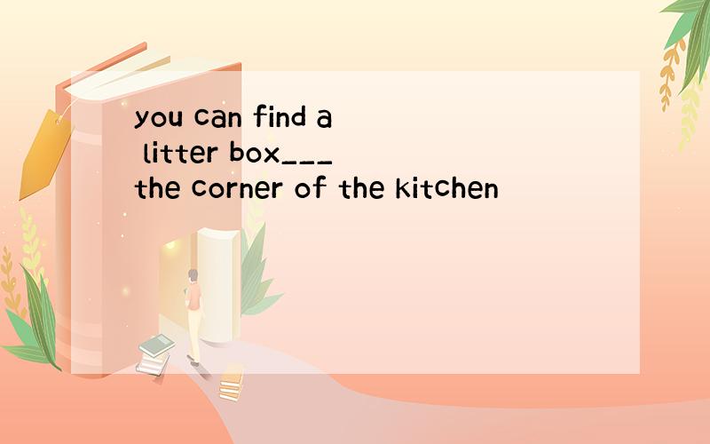 you can find a litter box___the corner of the kitchen