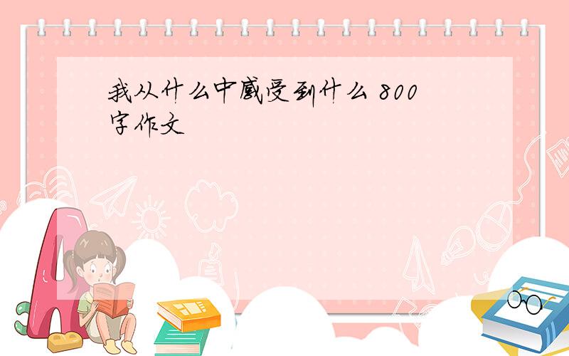 我从什么中感受到什么 800字作文