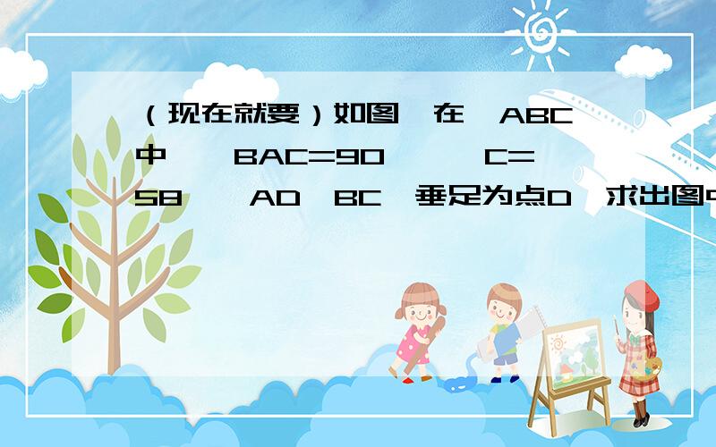 （现在就要）如图,在△ABC中,∠BAC=90°,∠C=58°,AD⊥BC,垂足为点D,求出图中所有锐角的度数.