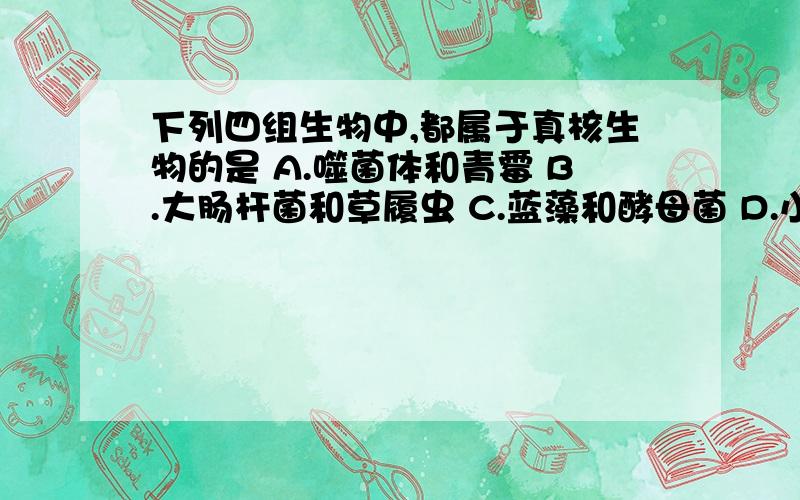 下列四组生物中,都属于真核生物的是 A.噬菌体和青霉 B.大肠杆菌和草履虫 C.蓝藻和酵母菌 D.小麦和变形虫