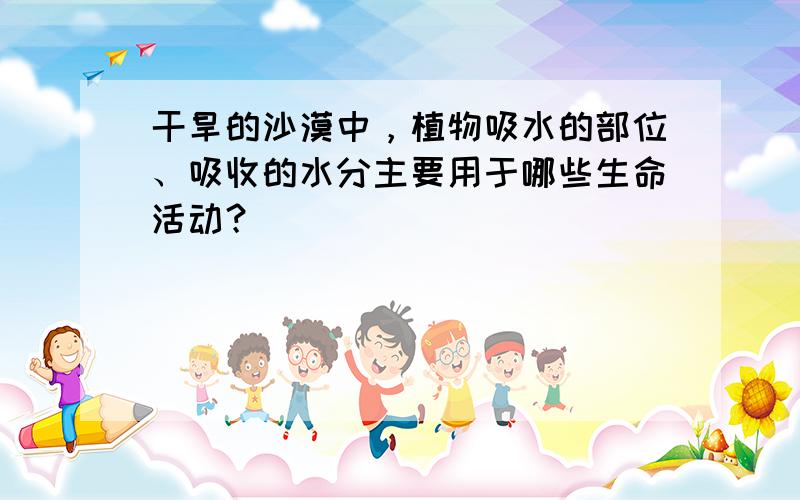 干旱的沙漠中，植物吸水的部位、吸收的水分主要用于哪些生命活动？（　　）