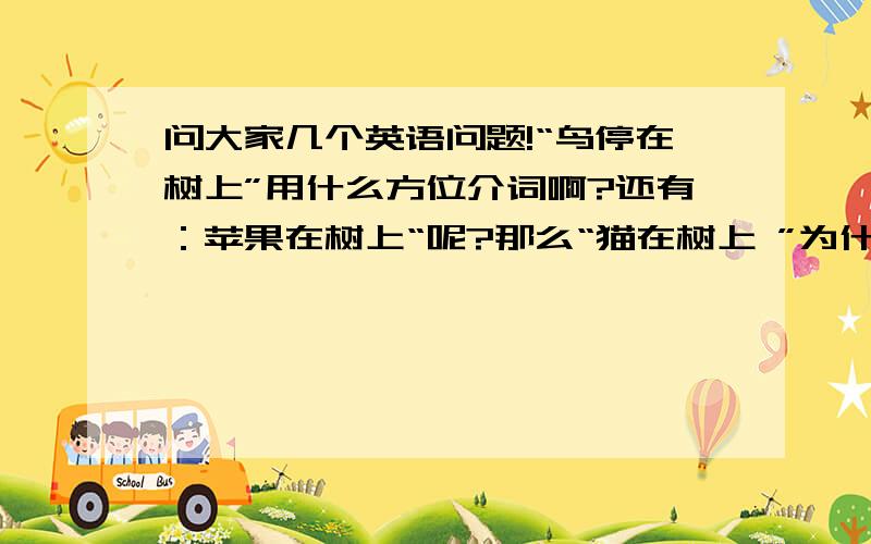 问大家几个英语问题!“鸟停在树上”用什么方位介词啊?还有：苹果在树上“呢?那么“猫在树上 ”为什么不用in,而用on?请