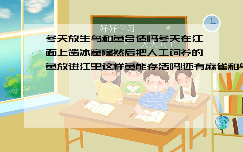 冬天放生鸟和鱼合适吗冬天在江面上凿冰窟窿然后把人工饲养的鱼放进江里这样鱼能存活吗!还有麻雀和乌鸦!是同天放生的!(我说的