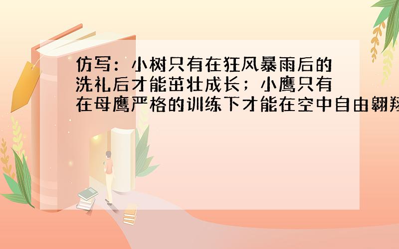 仿写：小树只有在狂风暴雨后的洗礼后才能茁壮成长；小鹰只有在母鹰严格的训练下才能在空中自由翱翔