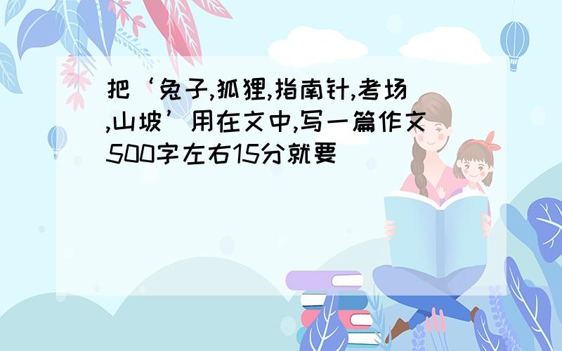 把‘兔子,狐狸,指南针,考场,山坡’用在文中,写一篇作文500字左右15分就要