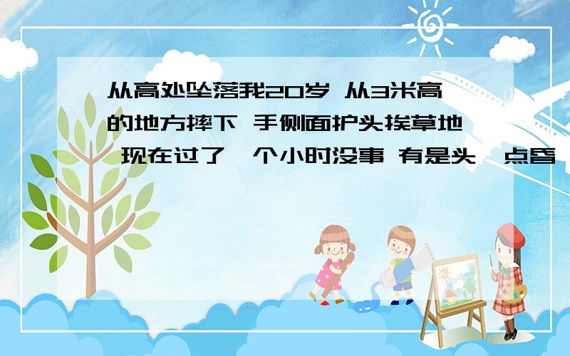 从高处坠落我20岁 从3米高的地方摔下 手侧面护头挨草地 现在过了一个小时没事 有是头一点昏 要紧么