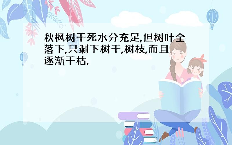 秋枫树干死水分充足,但树叶全落下,只剩下树干,树枝,而且逐渐干枯.