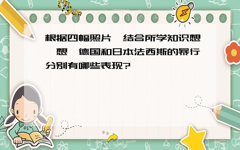 根据四幅照片,结合所学知识想一想,德国和日本法西斯的暴行分别有哪些表现?