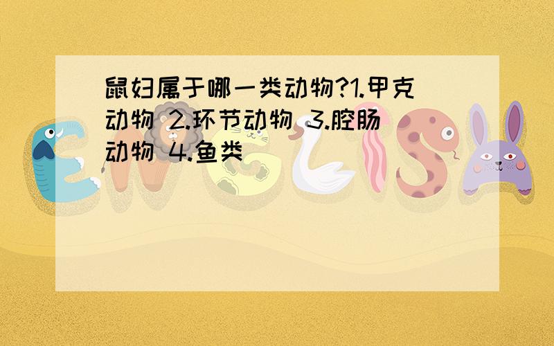 鼠妇属于哪一类动物?1.甲克动物 2.环节动物 3.腔肠动物 4.鱼类