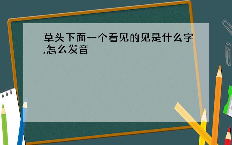 草头下面一个看见的见是什么字,怎么发音